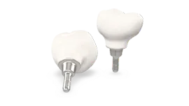 Corona in Zirconia Avvitata su Ti-Base