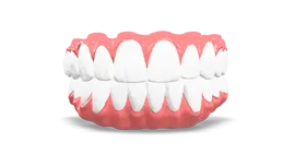 Ibrido in Zirconia